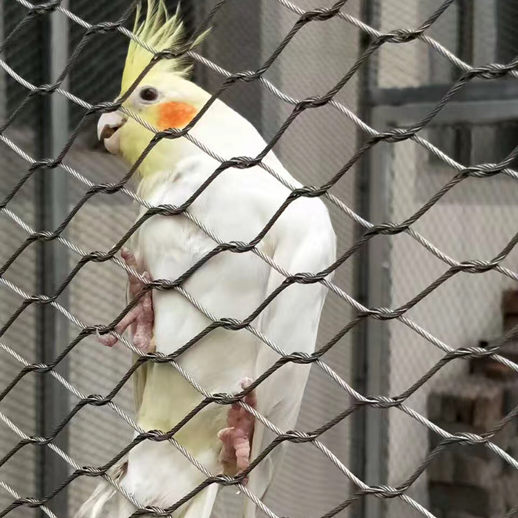 鳥語(yǔ)林專用網(wǎng)