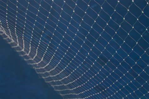 攔魚(yú)網(wǎng)要用不銹鋼繩網(wǎng)